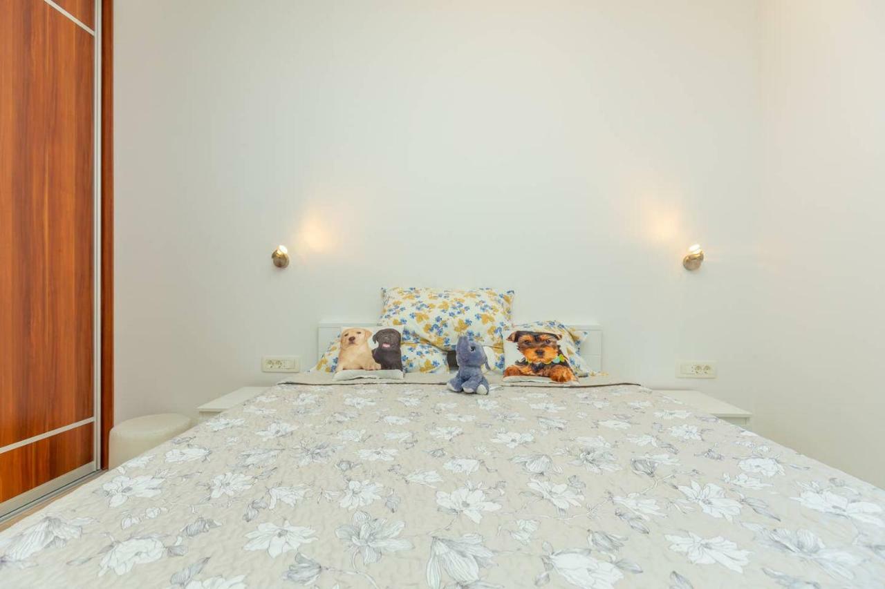 Charming Cozy Apartment Solitudo 杜布罗夫尼克 外观 照片