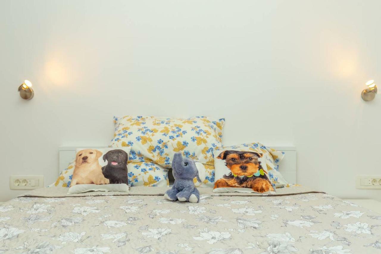 Charming Cozy Apartment Solitudo 杜布罗夫尼克 外观 照片